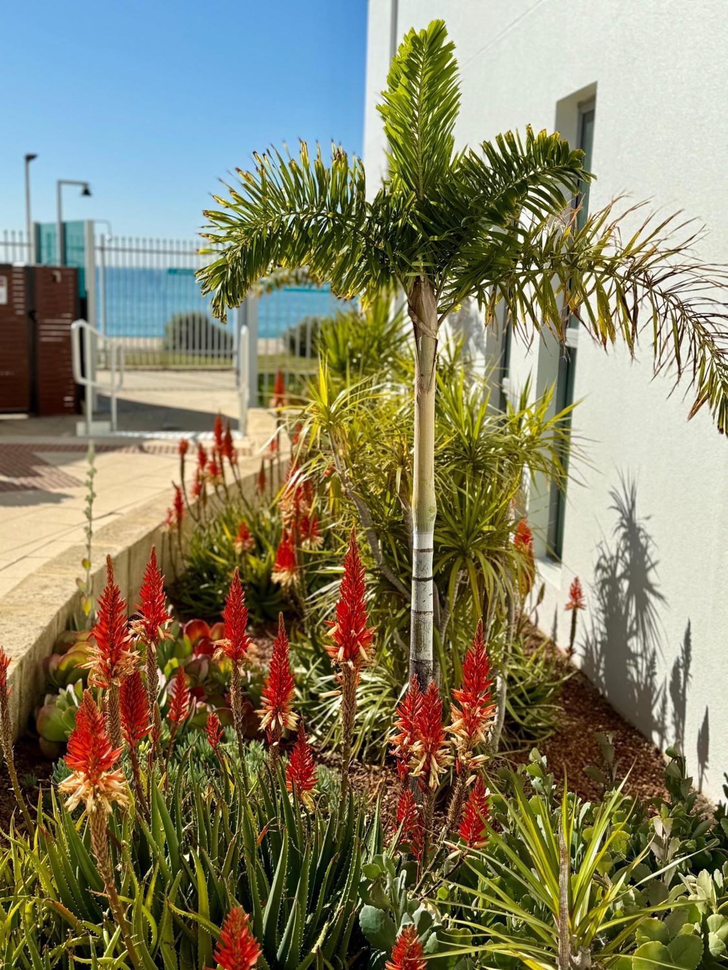 Tempel By The Sea Apartment Мандура Екстериор снимка